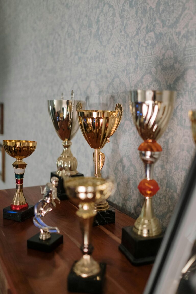 Photo of Trophies