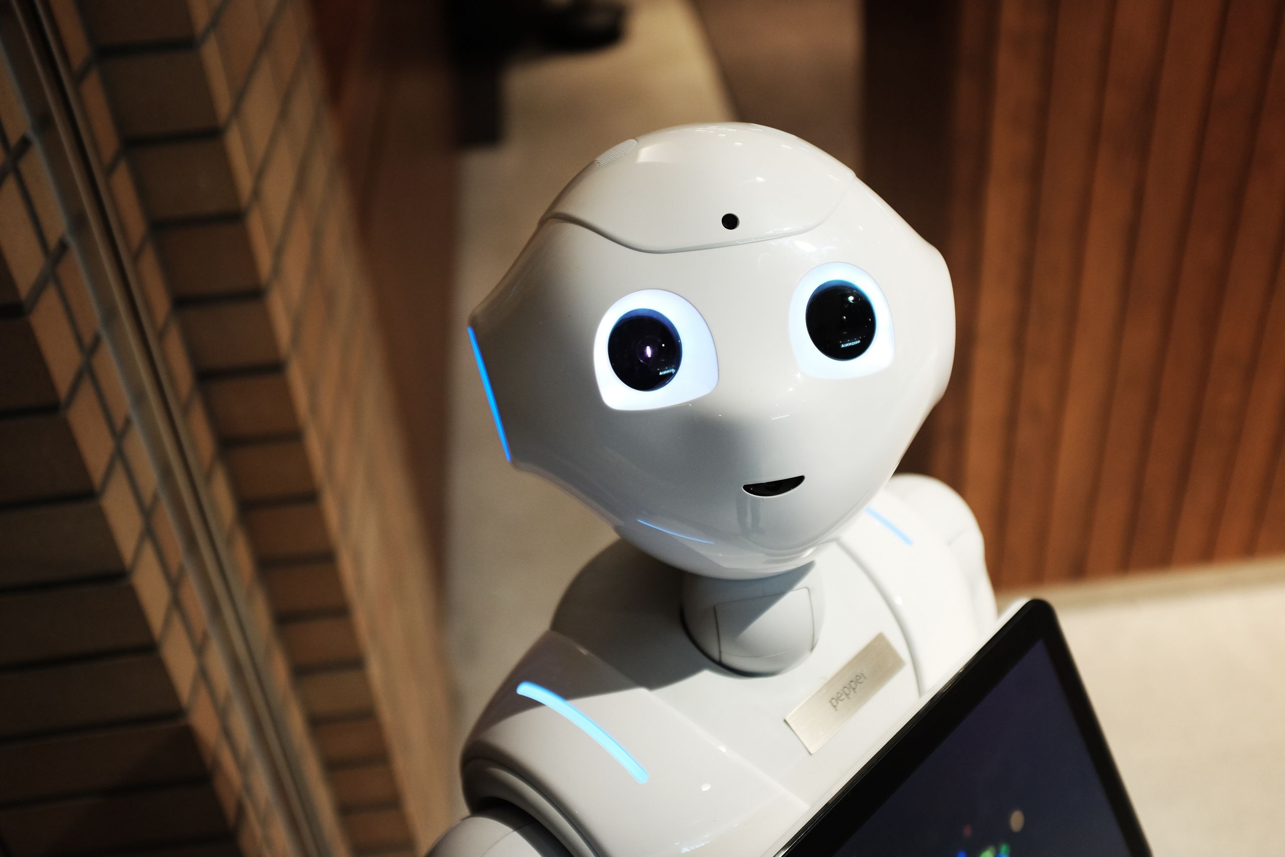 Photo of a robot assistant
