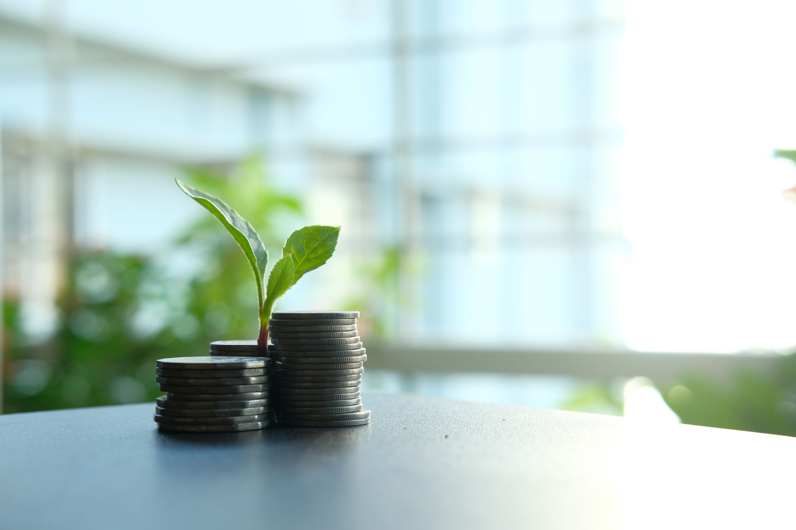 Photo of a plant growing from stacked coins